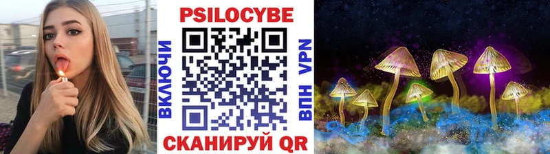 Галлюциногенные грибы Psilocybine cubensis Мезень