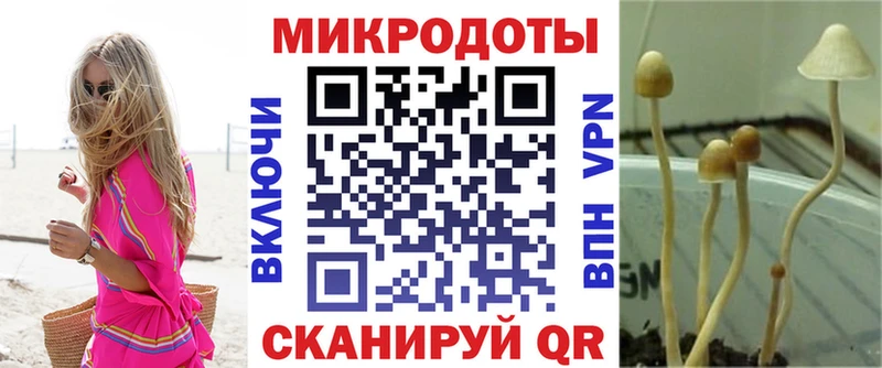 Галлюциногенные грибы ЛСД  где найти   Мезень 